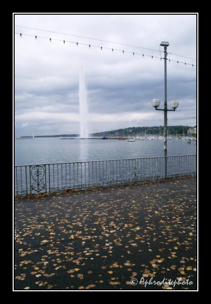 075 La rade et son jet d eau vu du jardin anglais